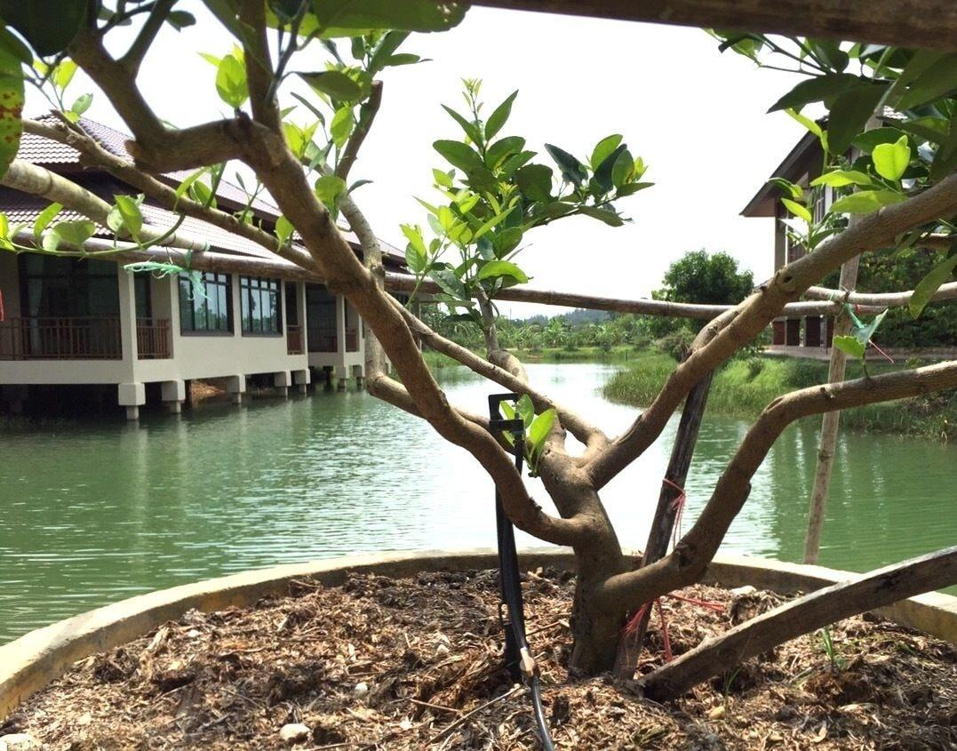 Lantala Residence Takua Thung Dış mekan fotoğraf